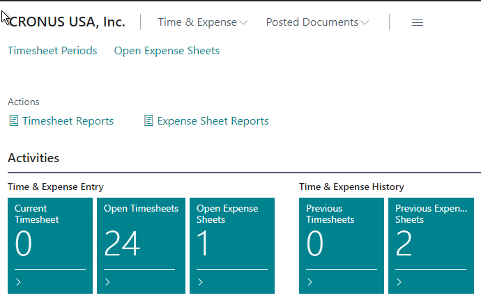 Time and Expense User view